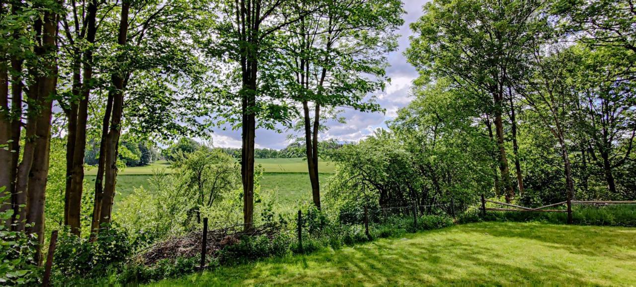 Inikama: Designer Apartment Im Gruenen - Netflix Rosengarten  Buitenkant foto